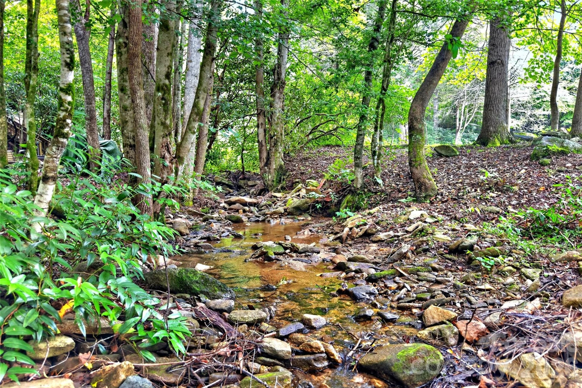 664 Paxton Creek Road - Photo 4