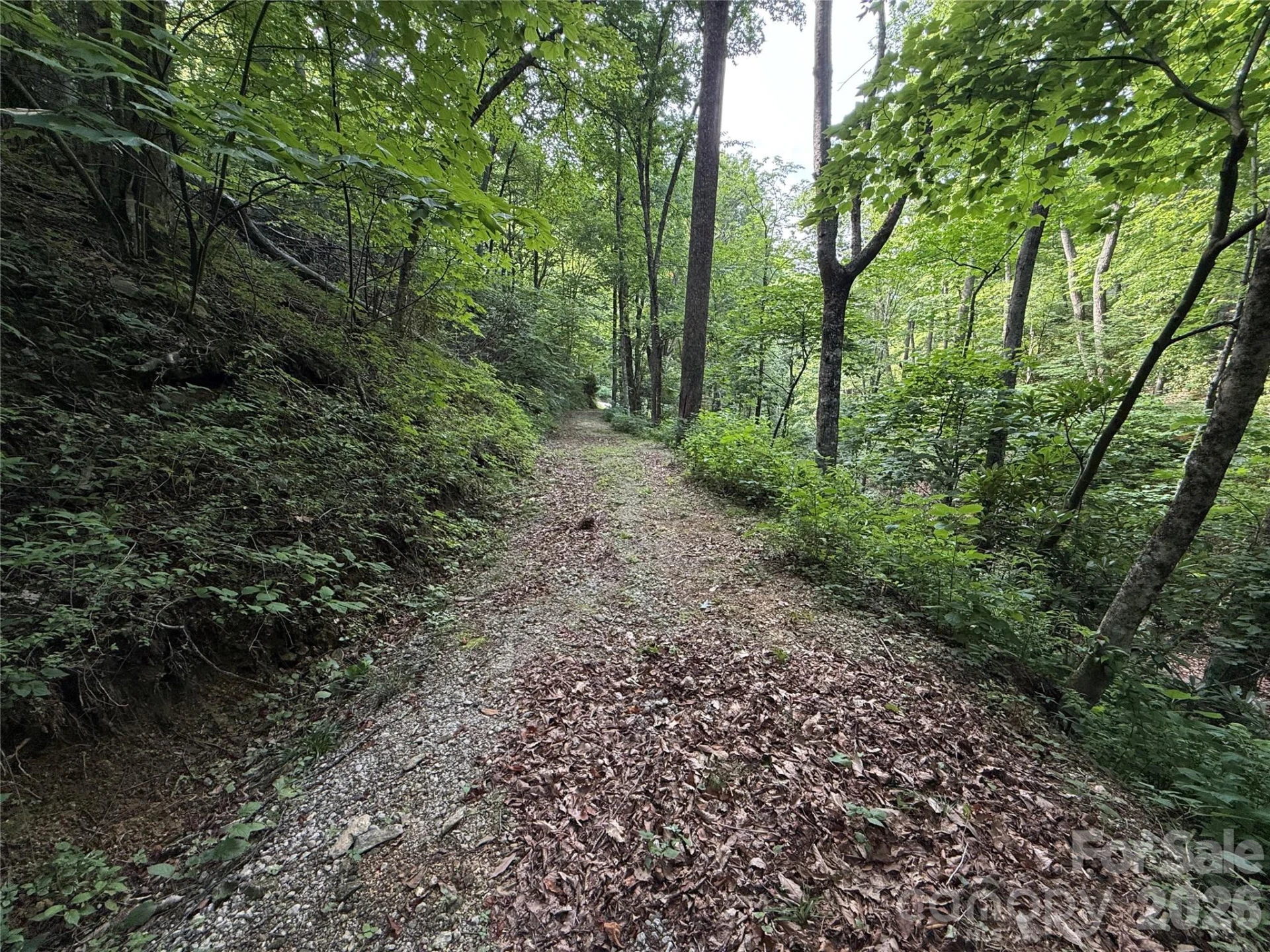64 Clay View Drive - Photo 2