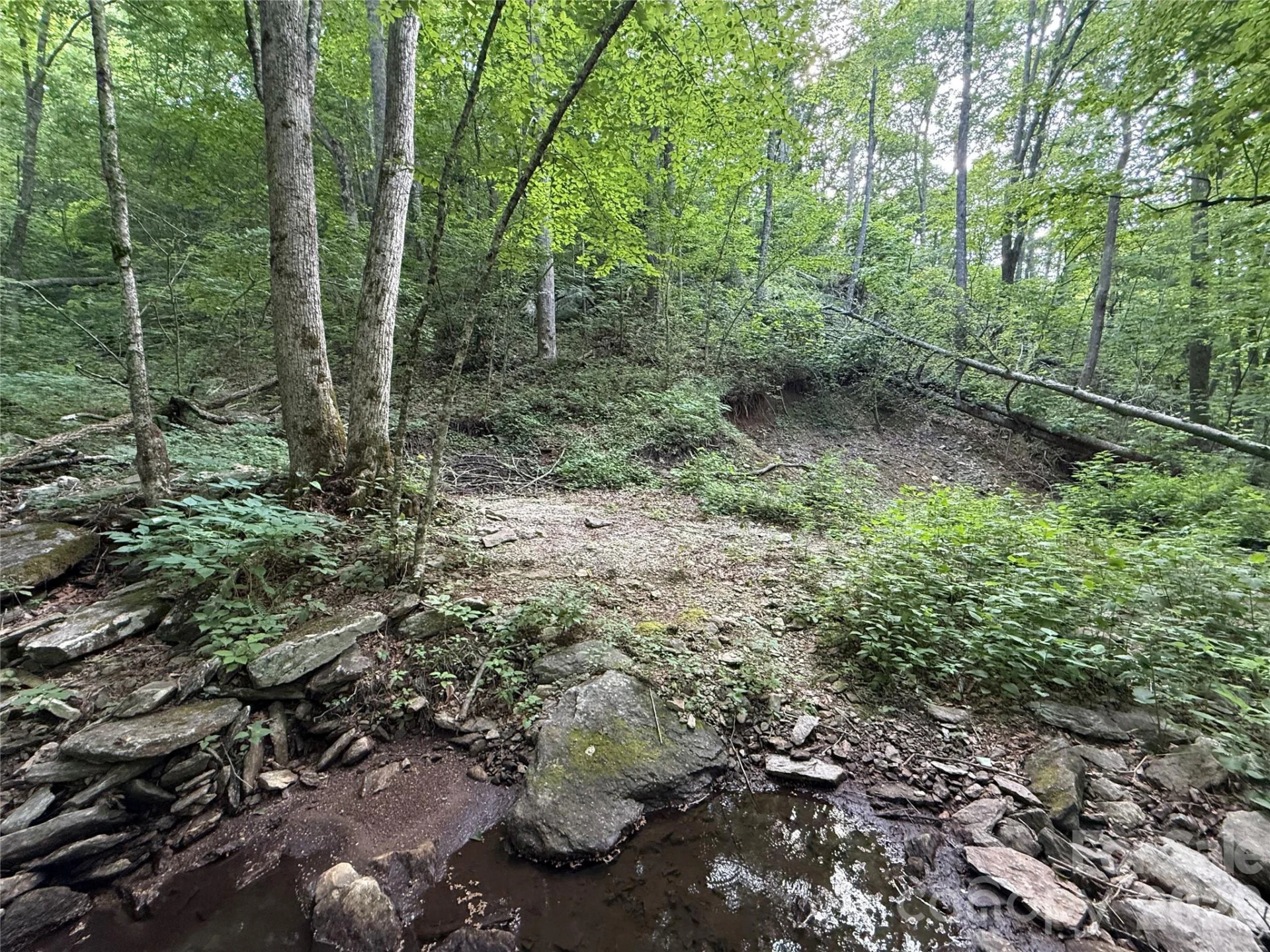 64 Clay View Drive - Photo 11