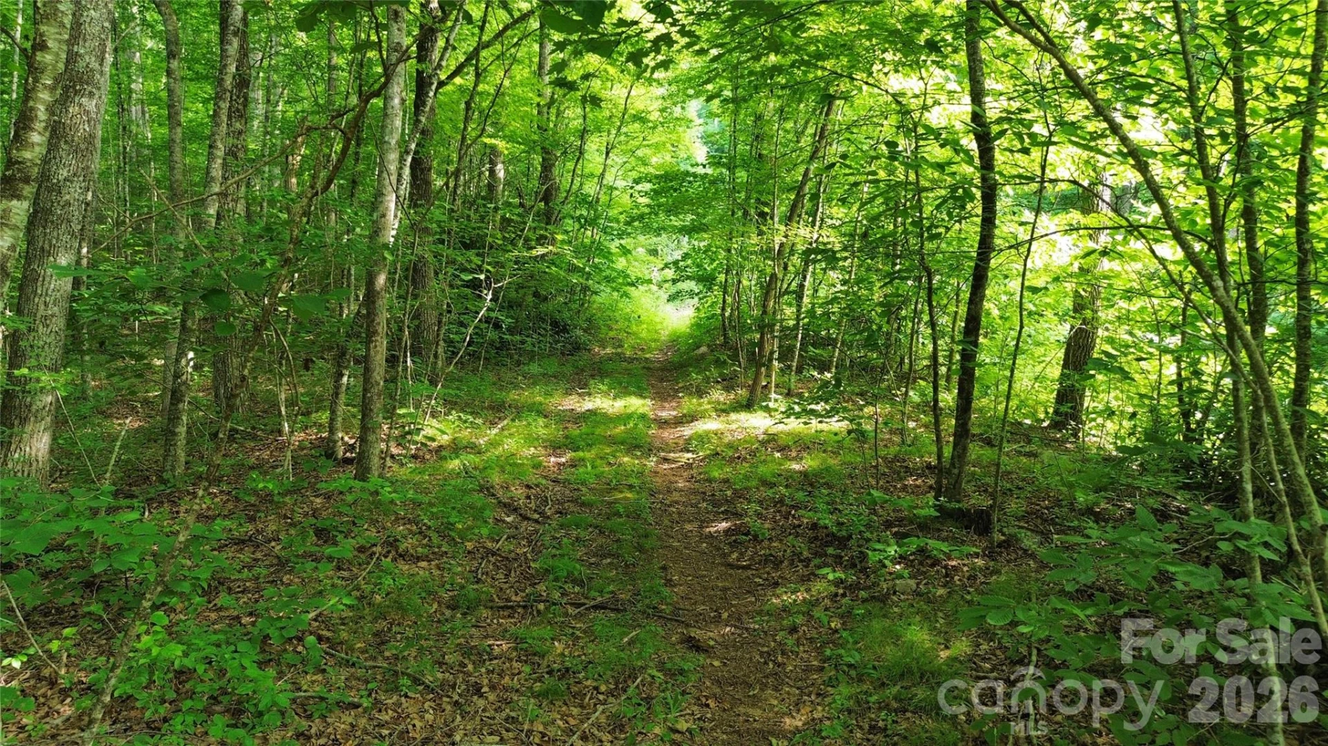 64 Clay View Drive - Photo 16