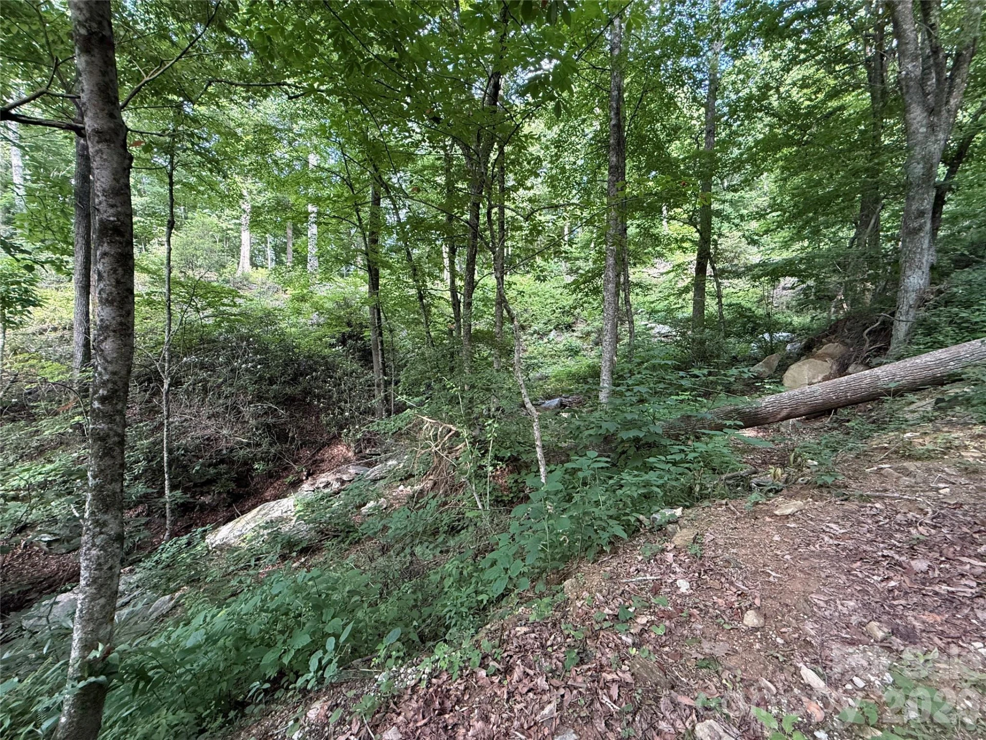 64 Clay View Drive - Photo 3