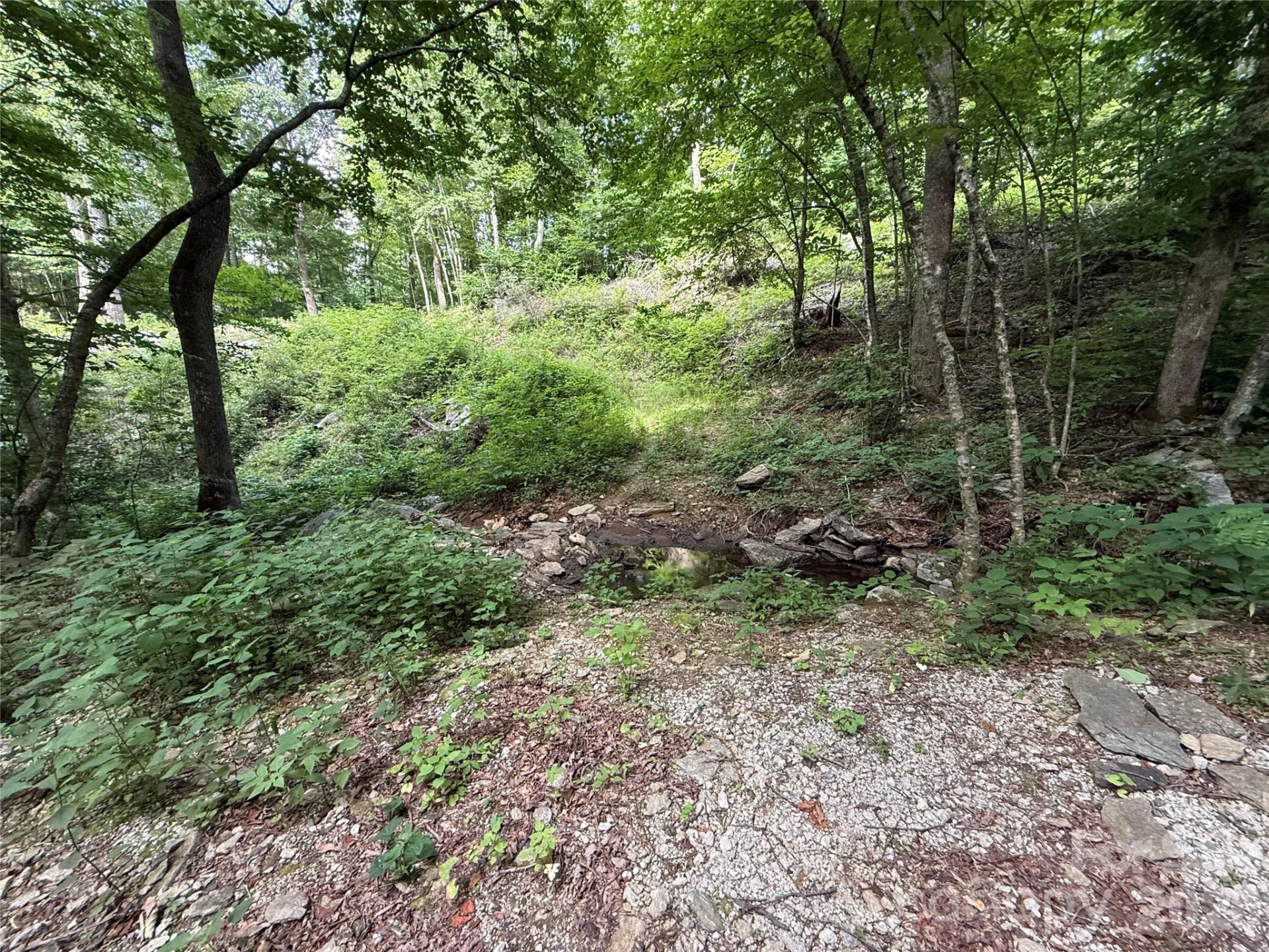 64 Clay View Drive - Photo 4
