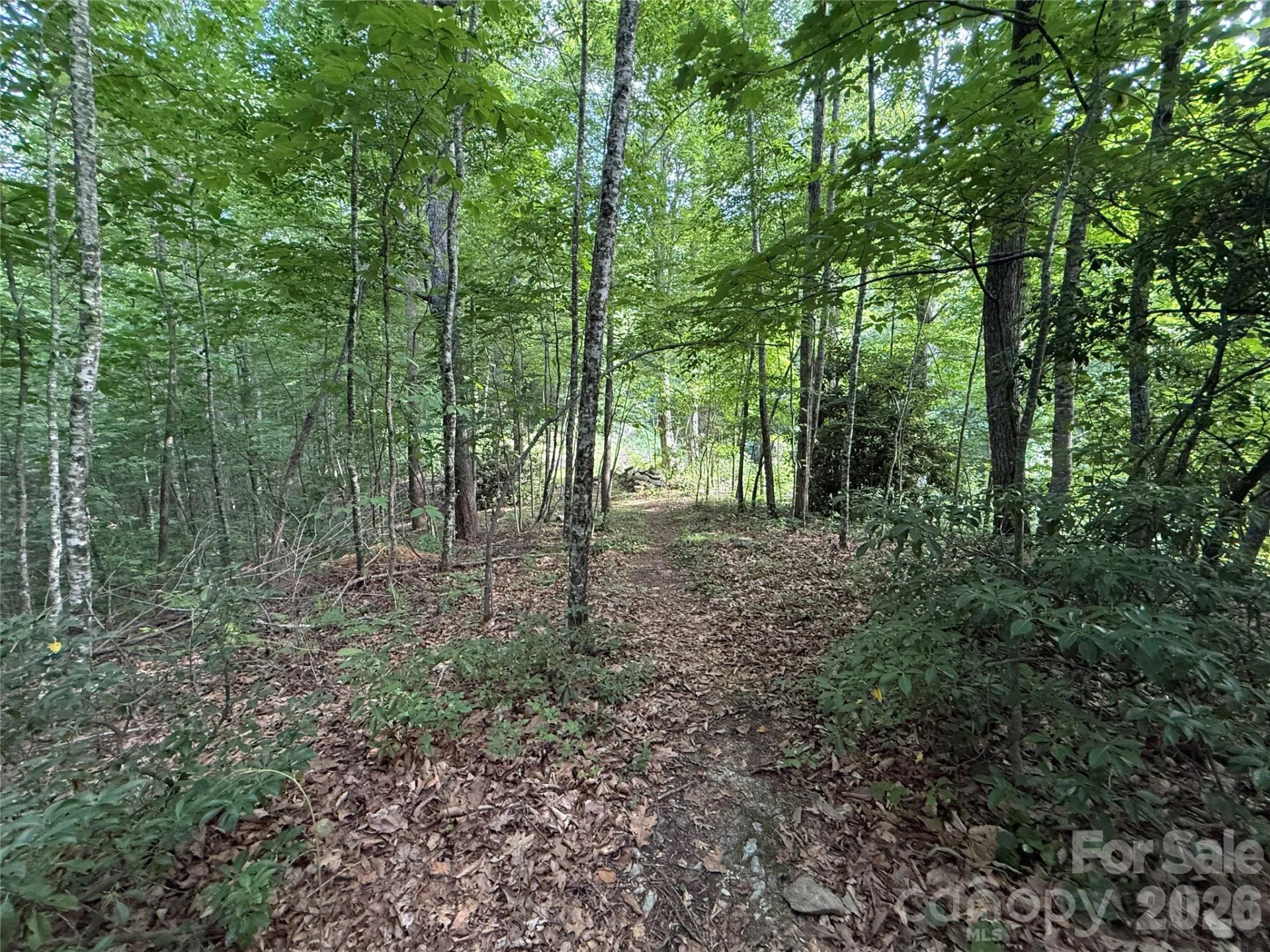 64 Clay View Drive - Photo 7