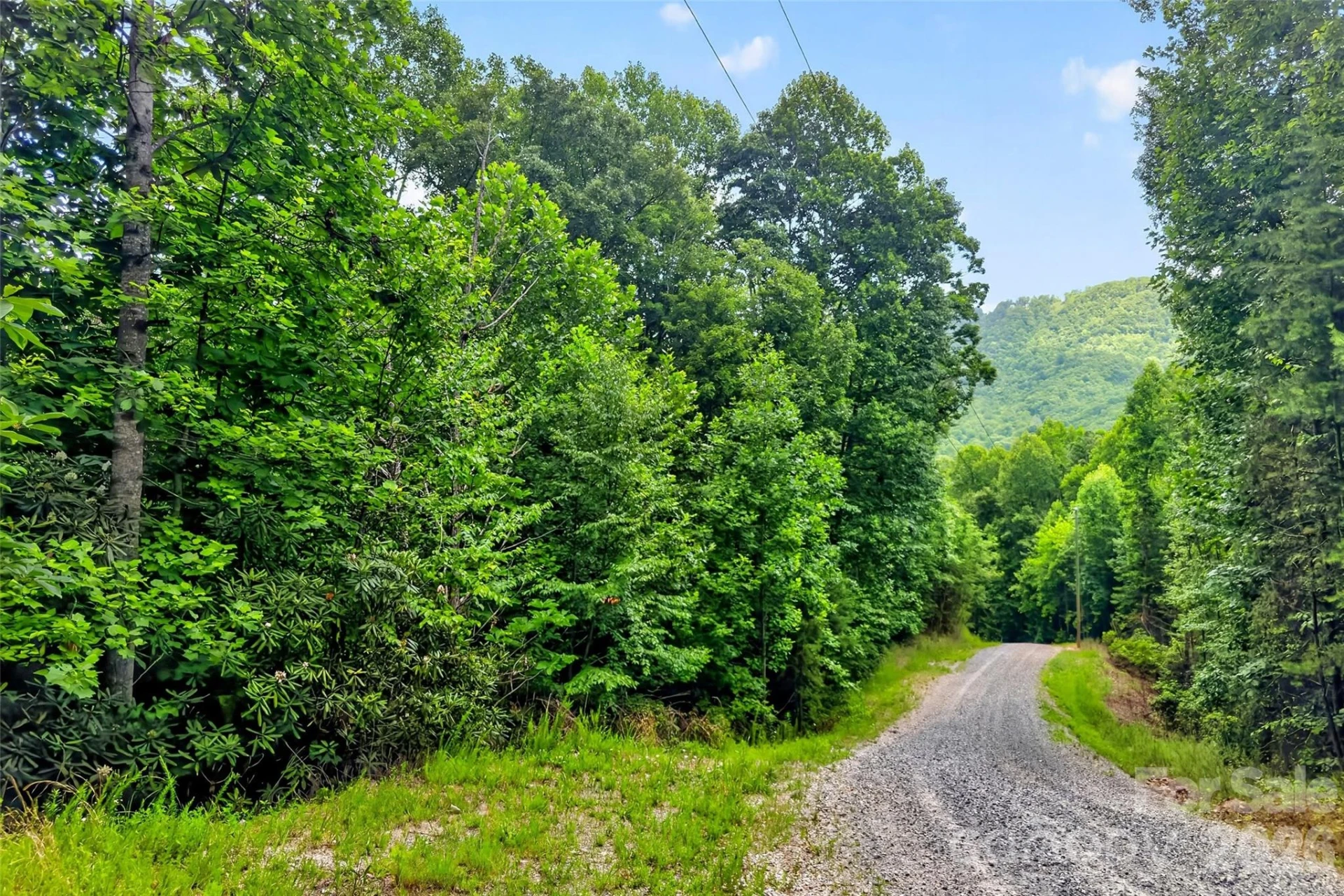 213 Mitchell View N #213MV