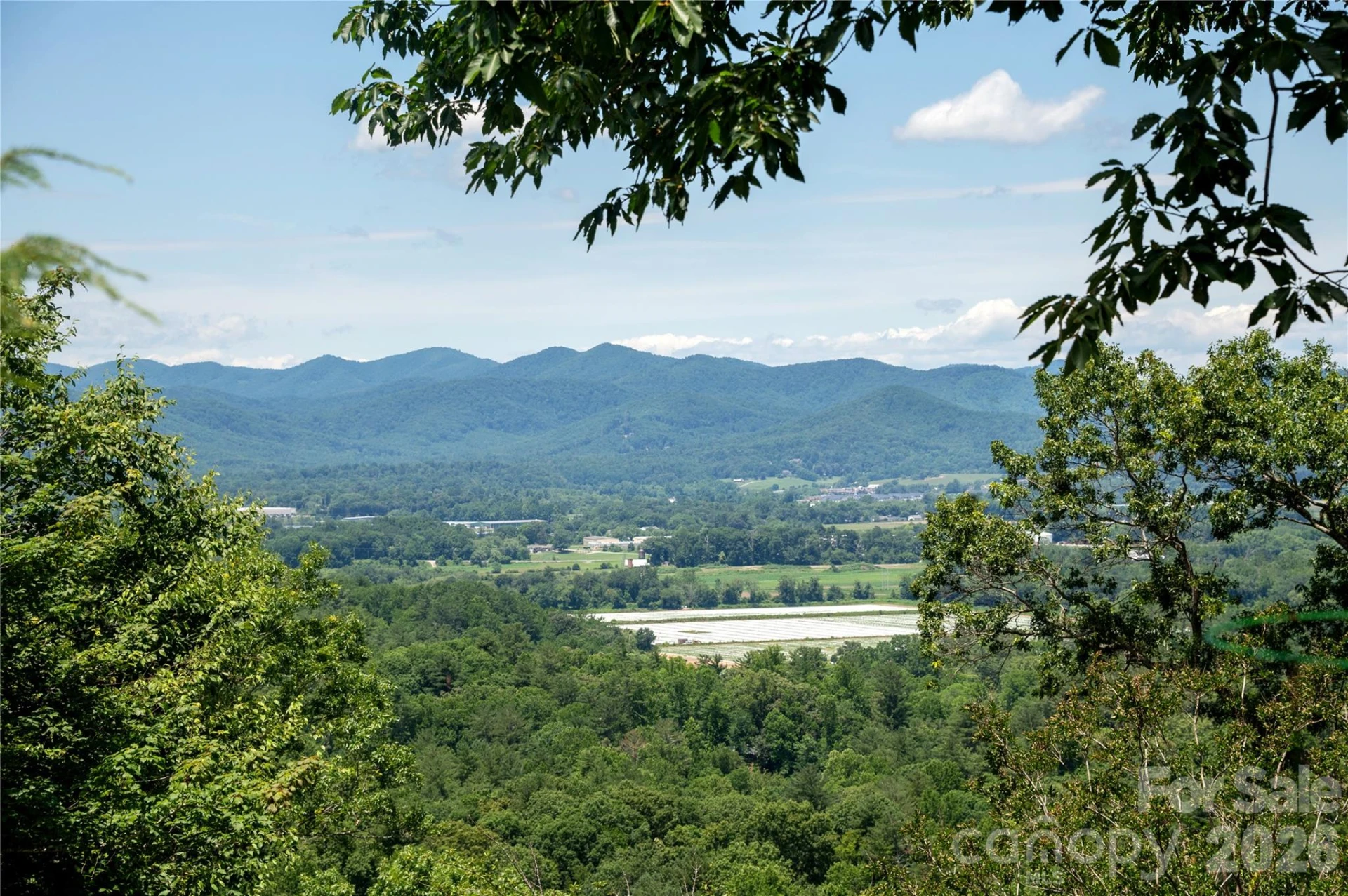 615 Goldview Drive - Photo 4