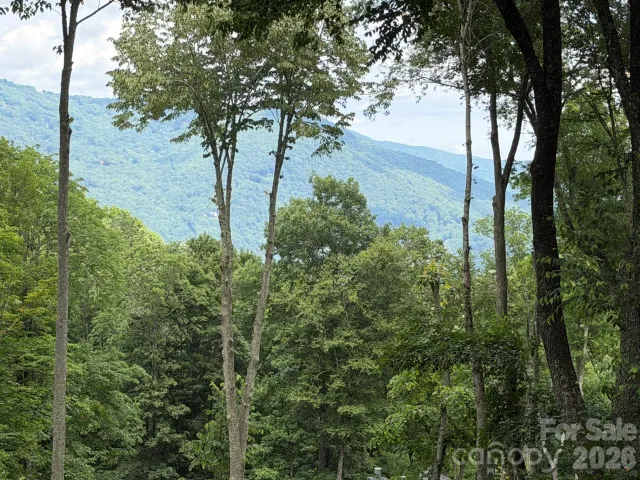 Lot 5 Gadohi Trail, Maggie Valley, NC, 28751