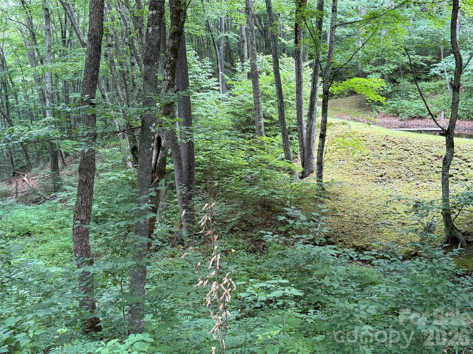 Lot 5 Gadohi Trail #5 - Photo 26