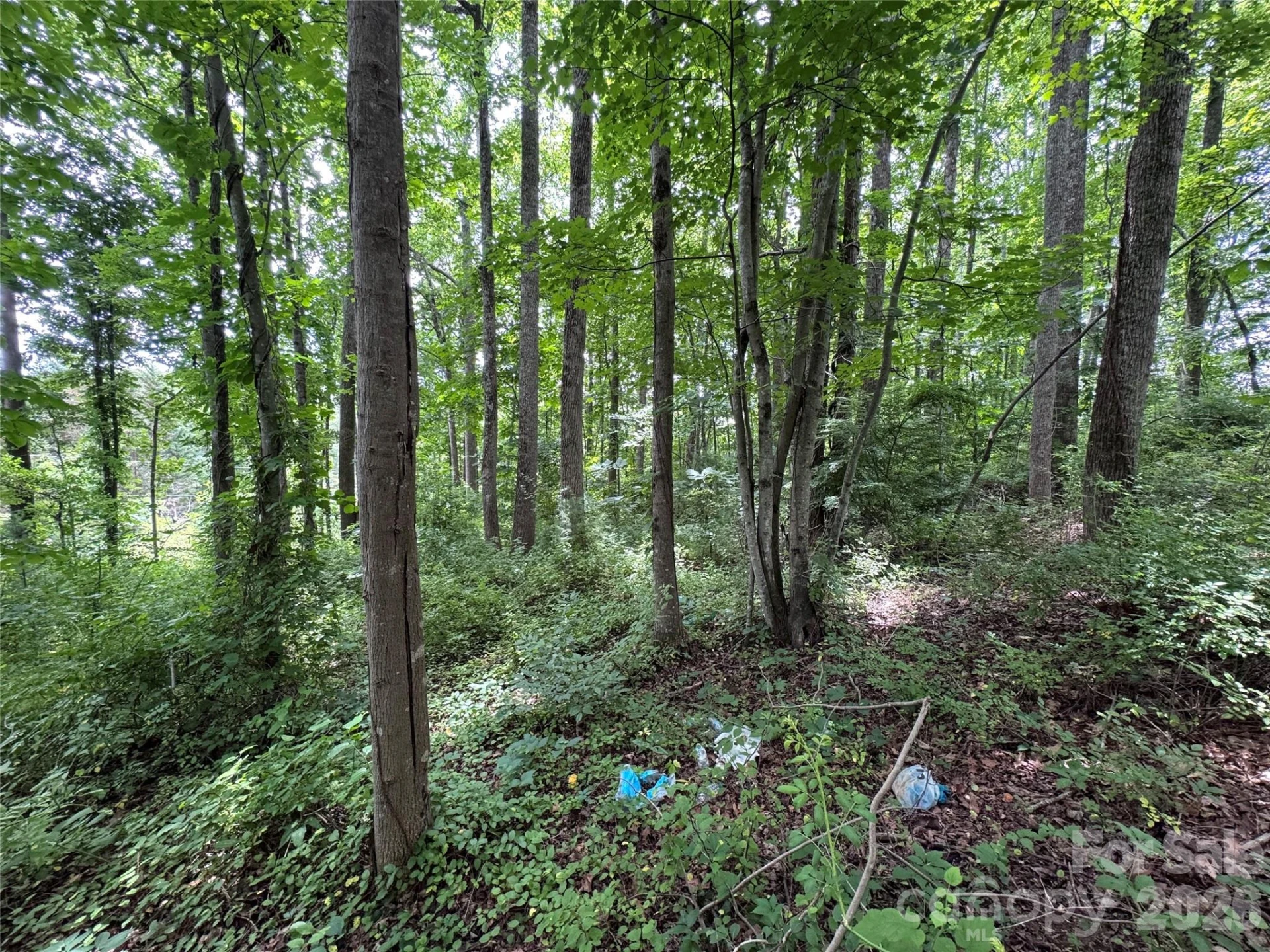 400 & 402 Sharon Road - Photo 7