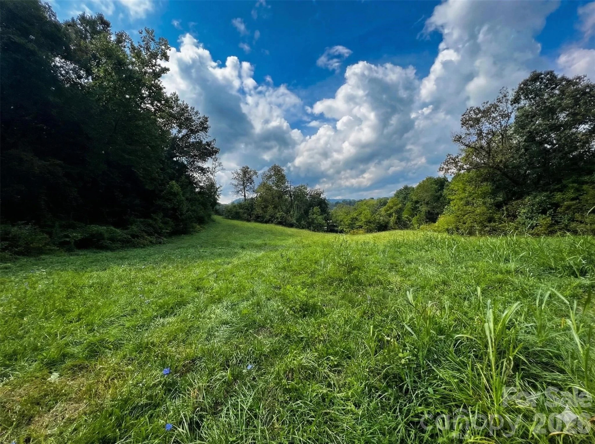 37 Amber Lane - Photo 10