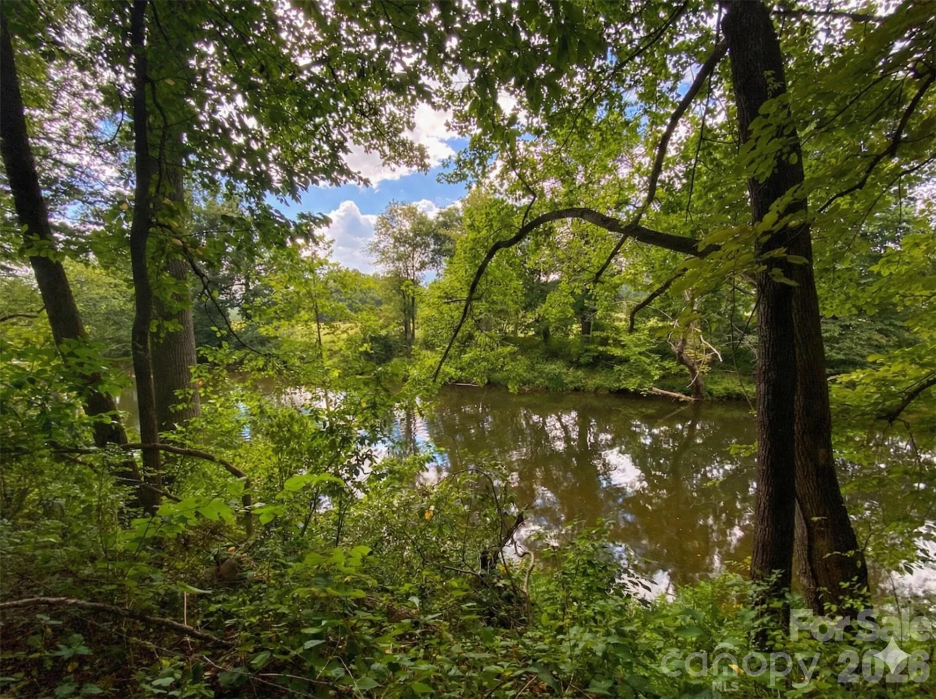 37 Amber Lane - Photo 14