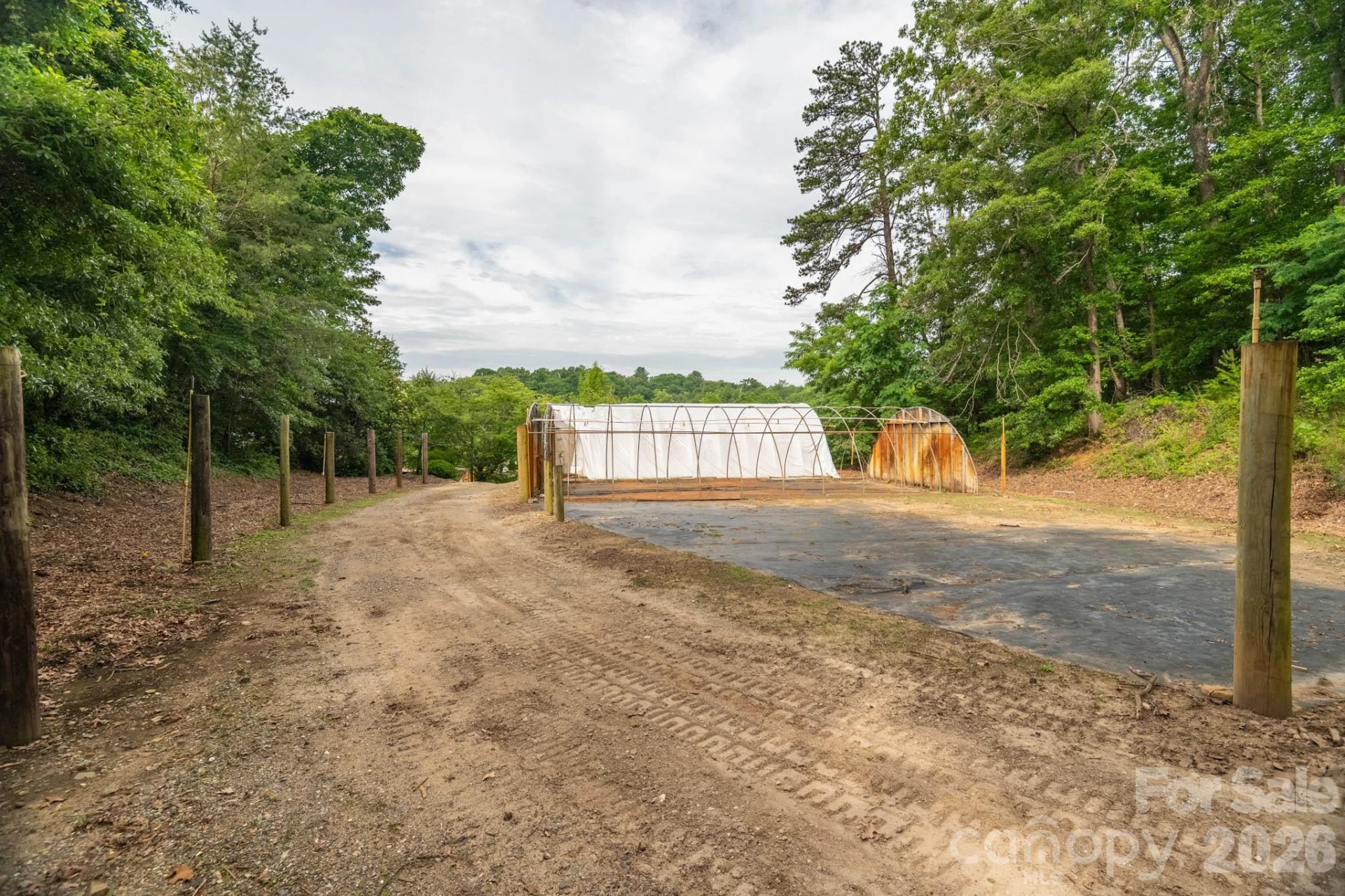 91 Weaverville Road - Photo 11