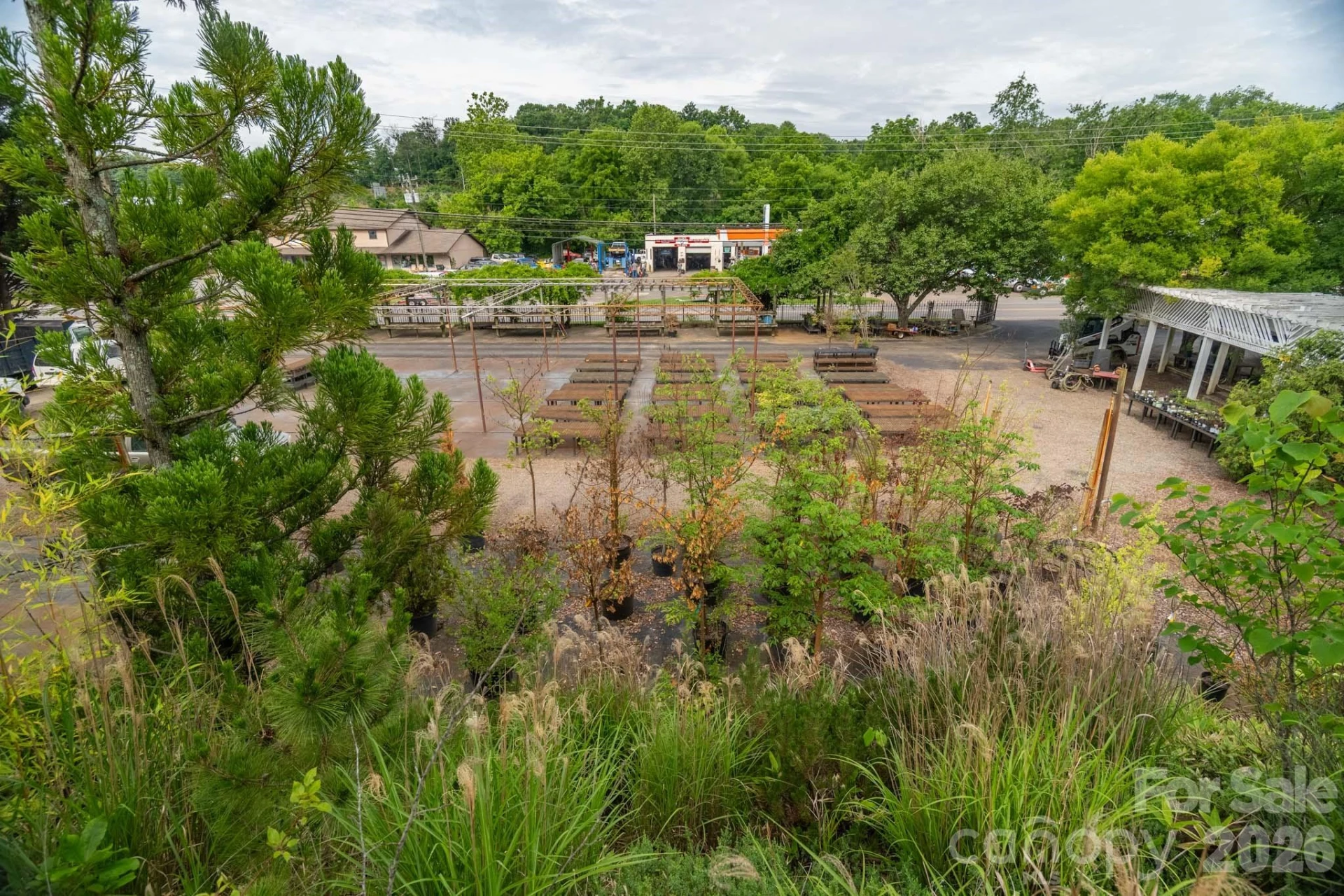 91 Weaverville Road - Photo 9