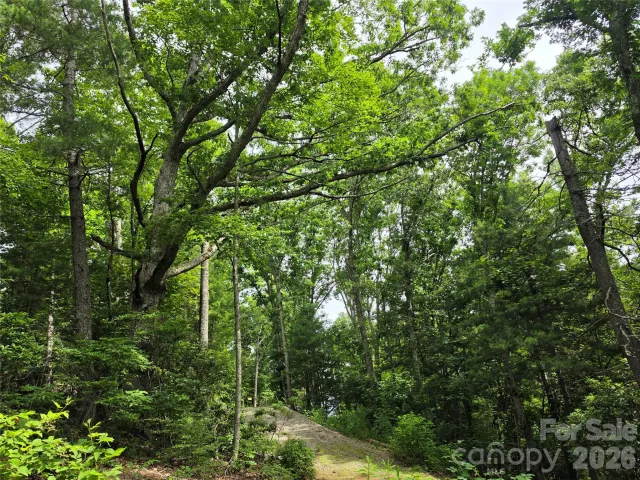 9999 Fairview Forest Drive