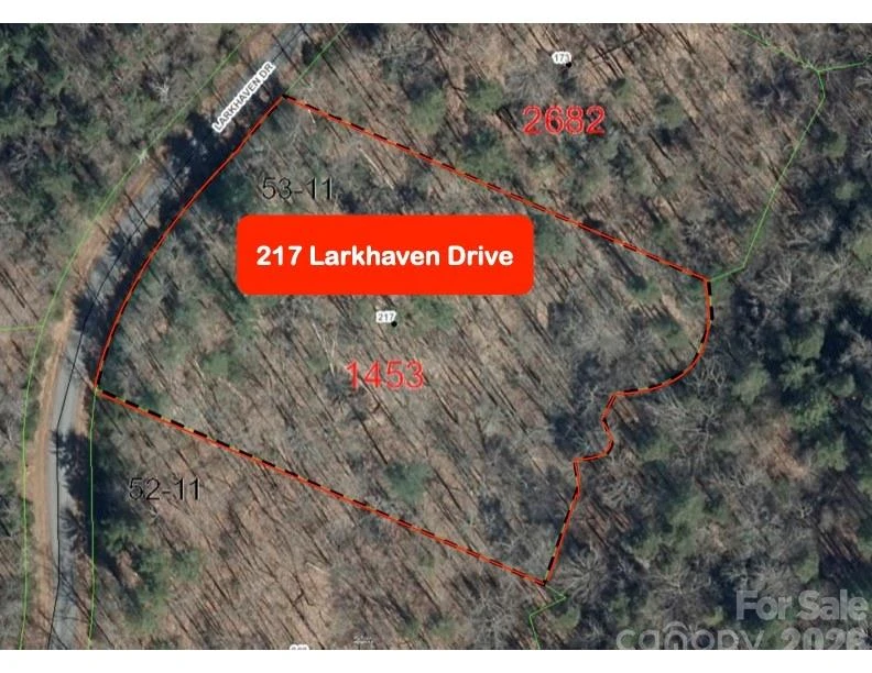 217 Larkhaven Drive #53-11 - Photo 3