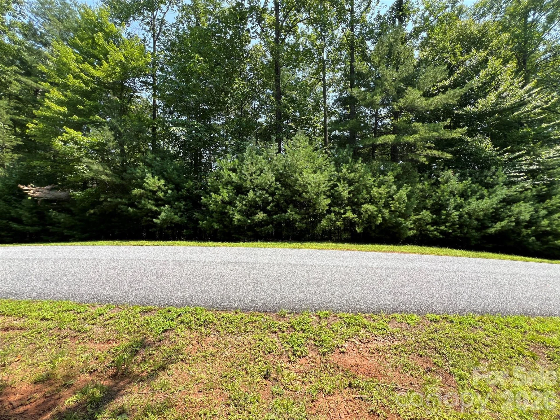 217 Larkhaven Drive #53-11 - Photo 4