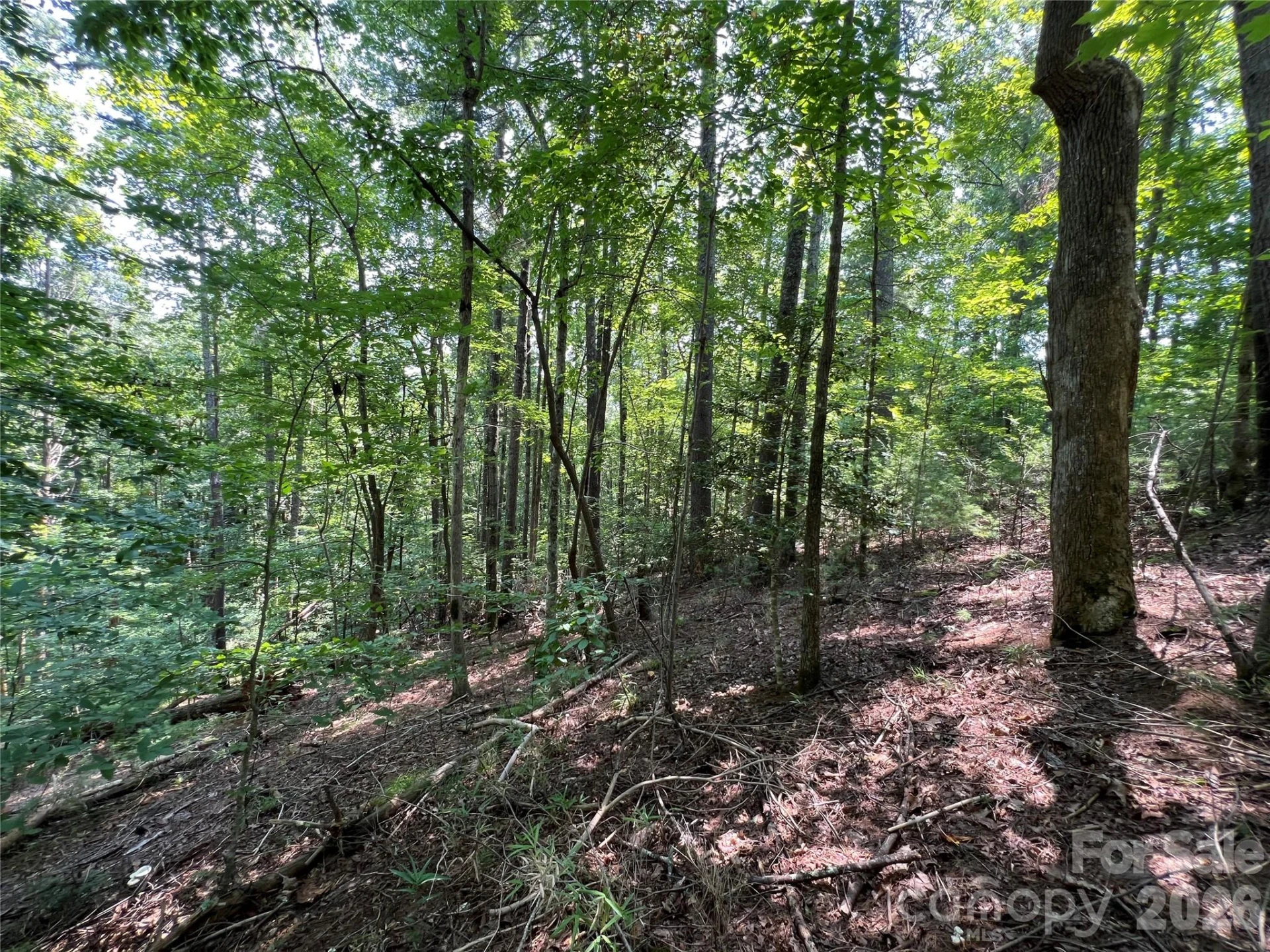 217 Larkhaven Drive #53-11 - Photo 6