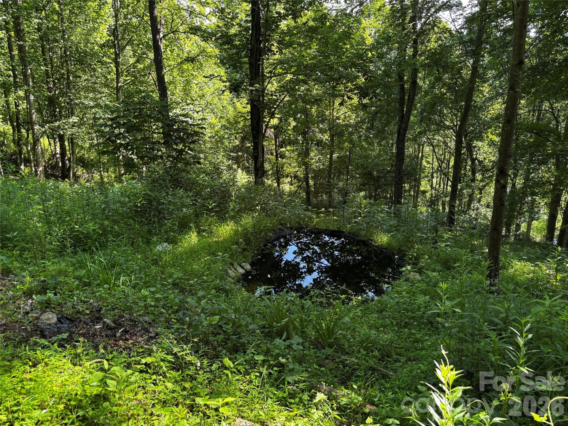 2879 Chandler Creek Road - Photo 25