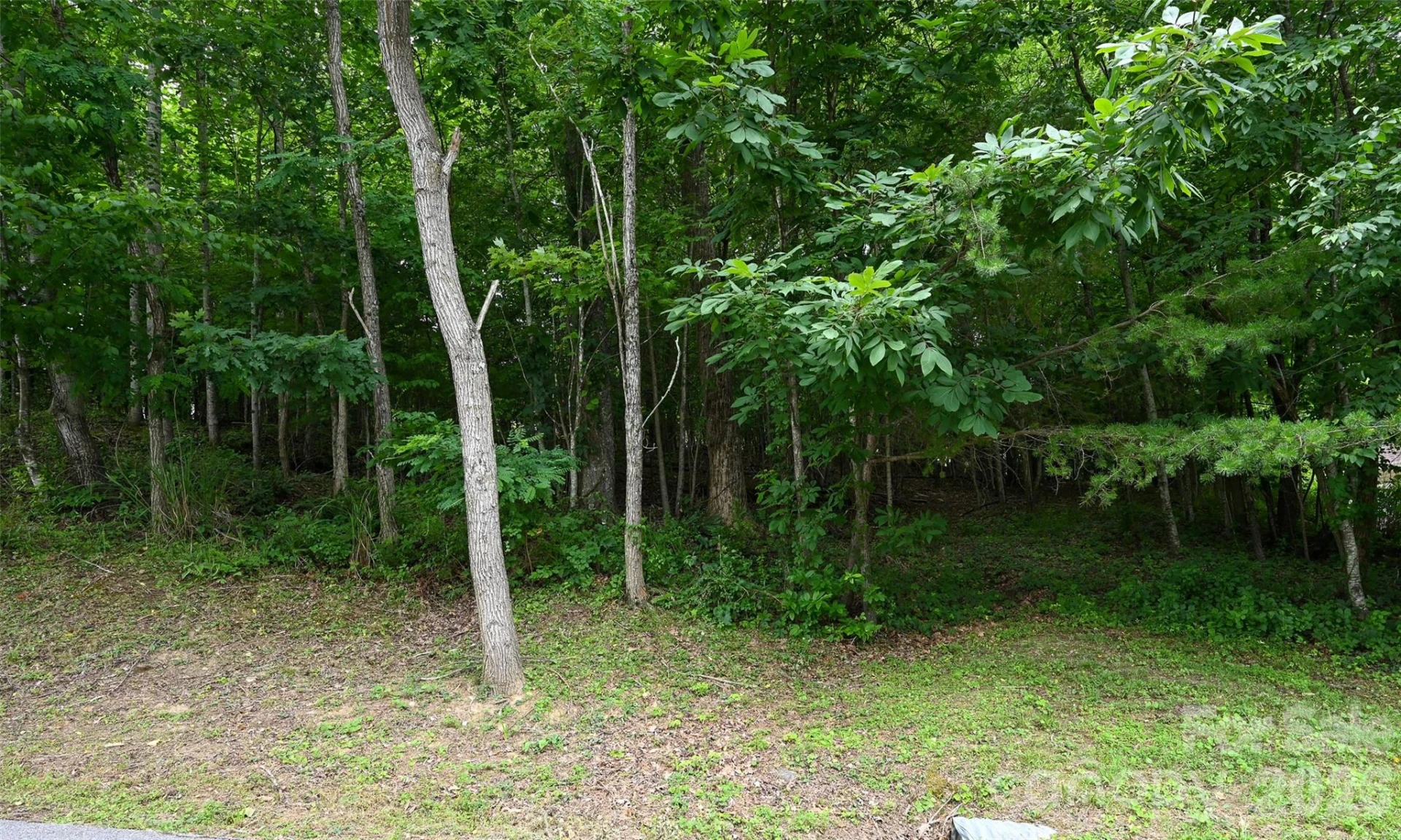 77 Carriage West Drive - Photo 4