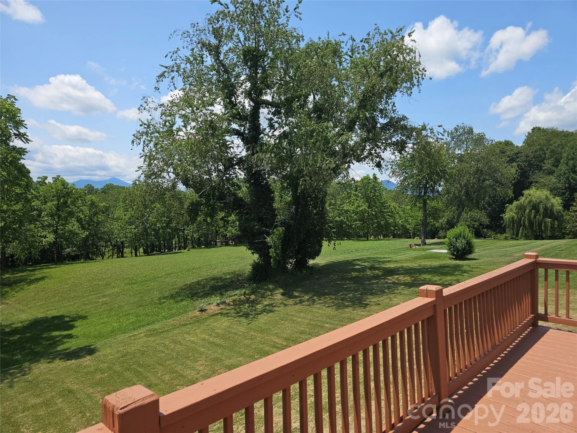 117 Caldonia Drive - Photo 3
