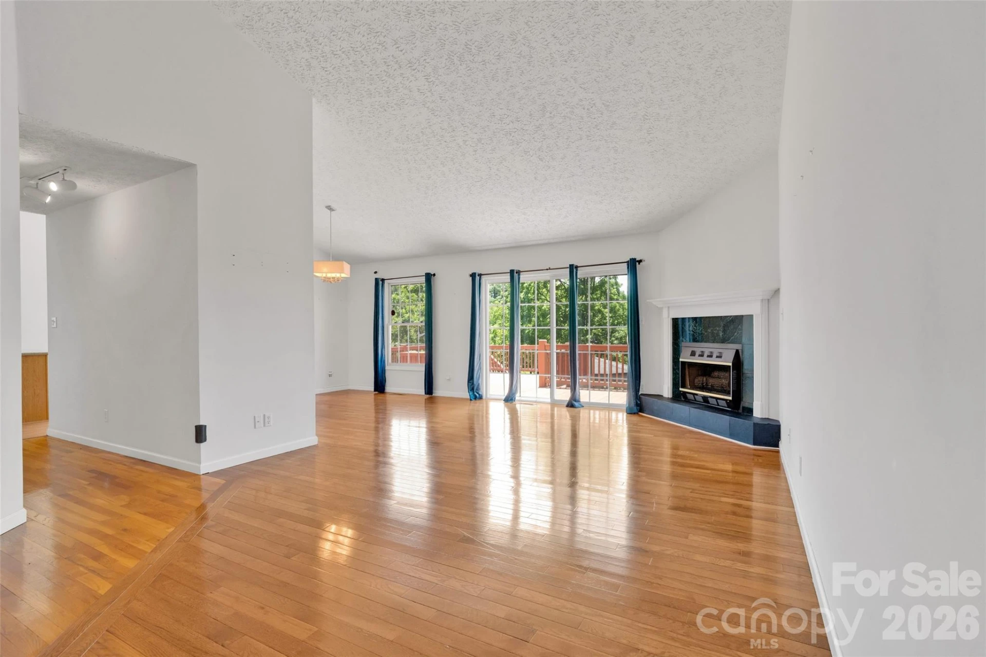 117 Caldonia Drive - Photo 10