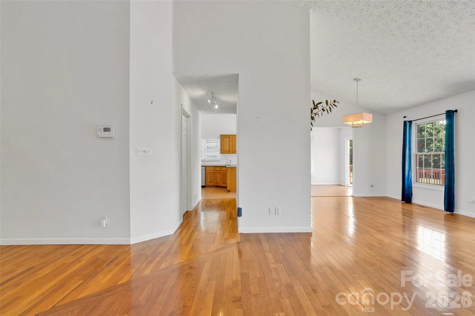 117 Caldonia Drive - Photo 11
