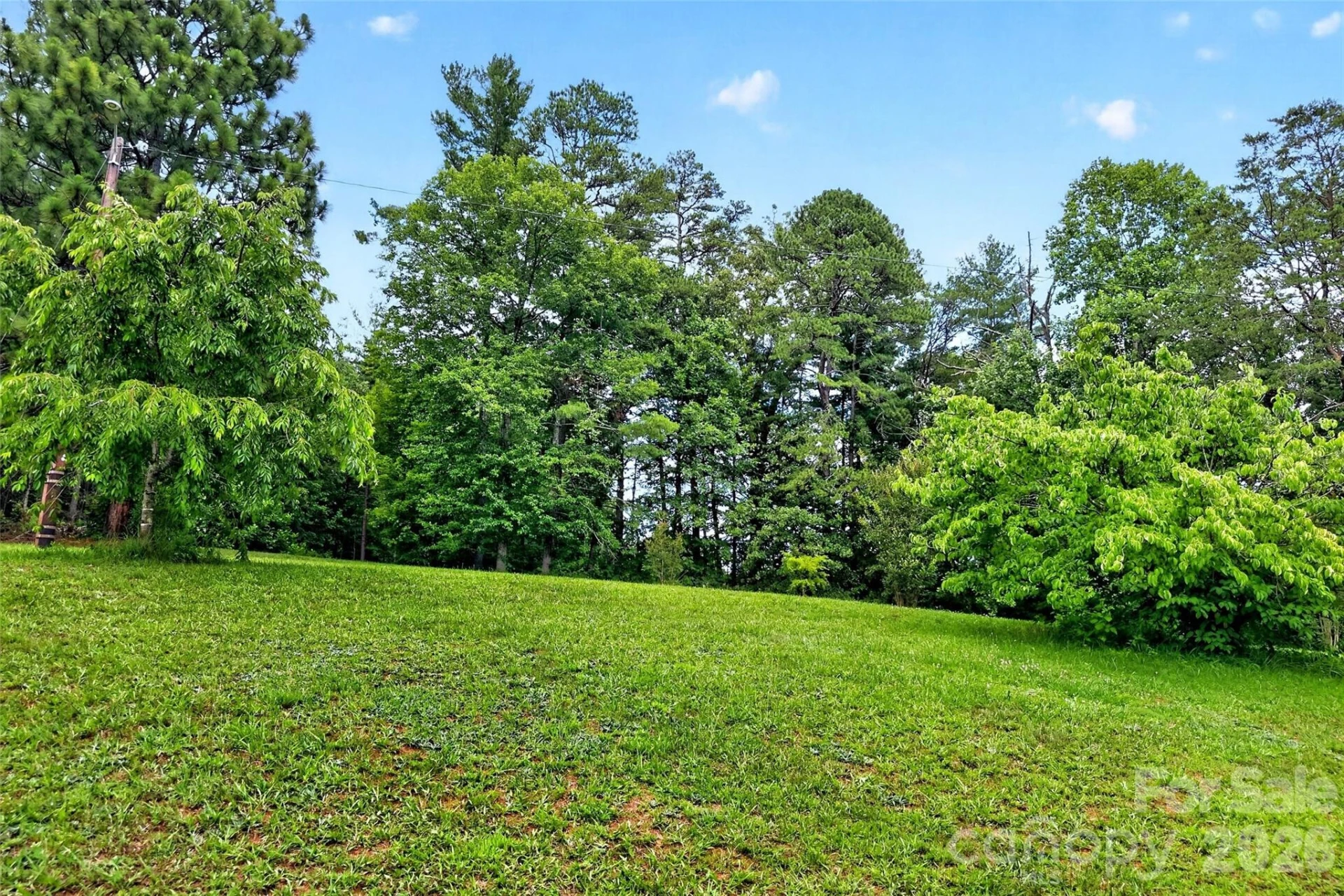 71 Green Vale Drive - Photo 41