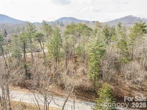 tbd Ball Gap Road - Photo 2