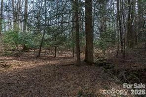 tbd Ball Gap Road - Photo 5