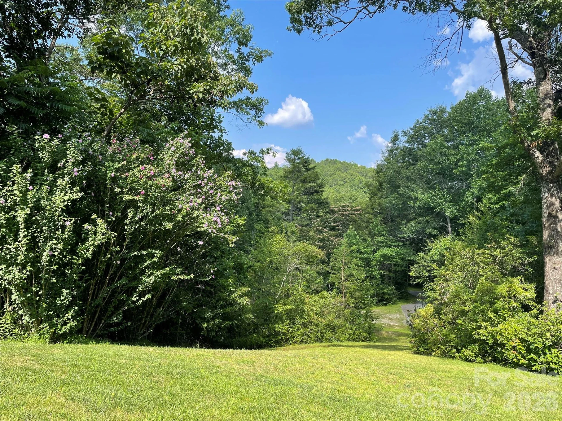 39 Lambert Lane - Photo 42