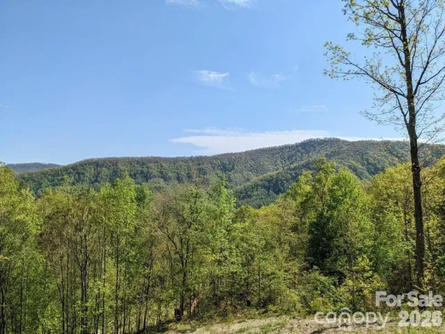 351 Kestrel Lane, Black Mountain, NC, 28711