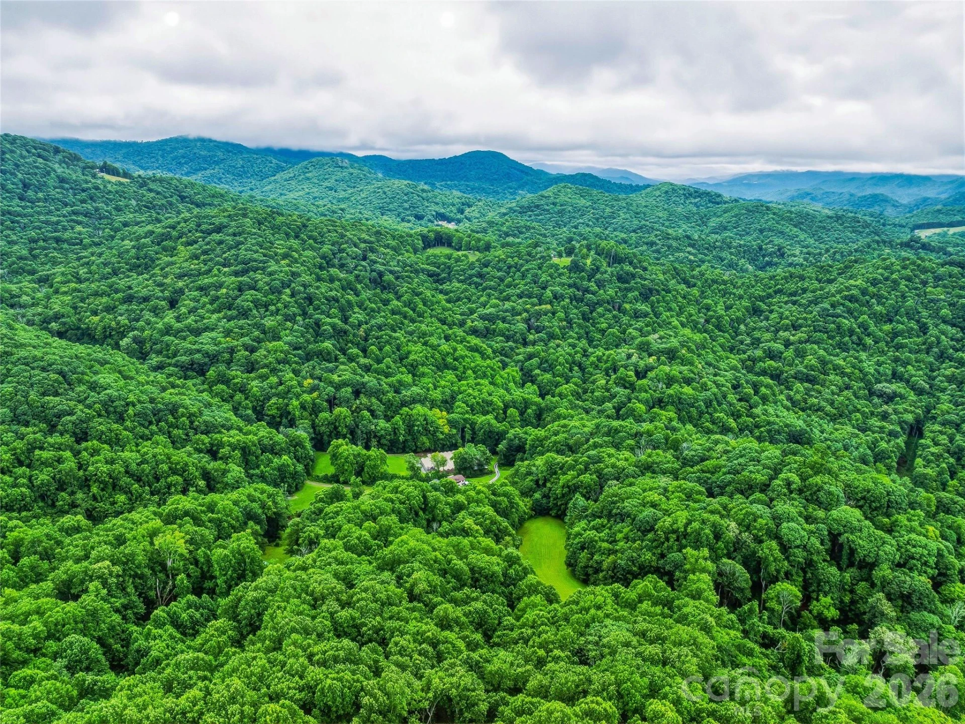 961 Wilson Branch Road - Photo 19