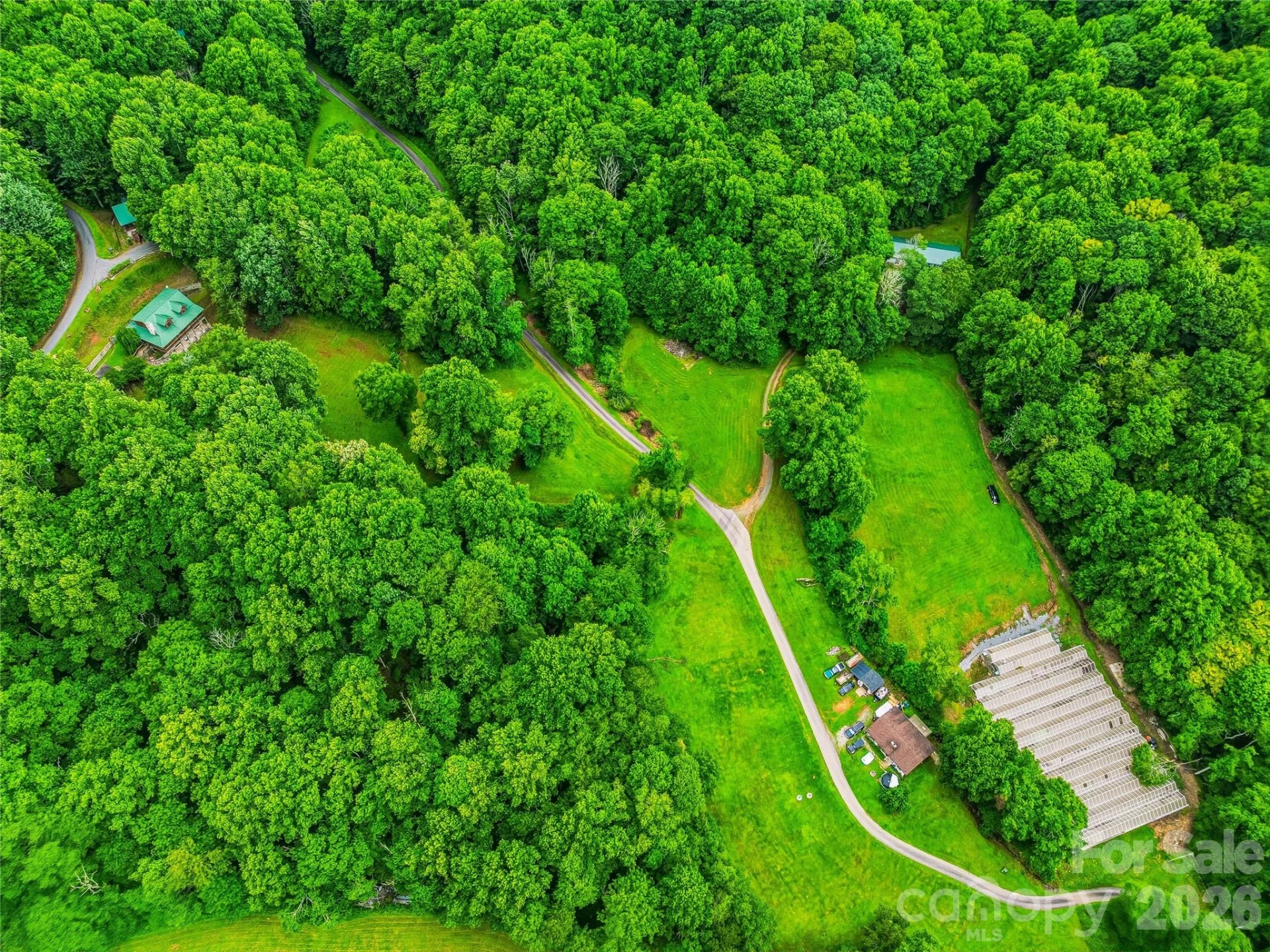 961 Wilson Branch Road - Photo 11