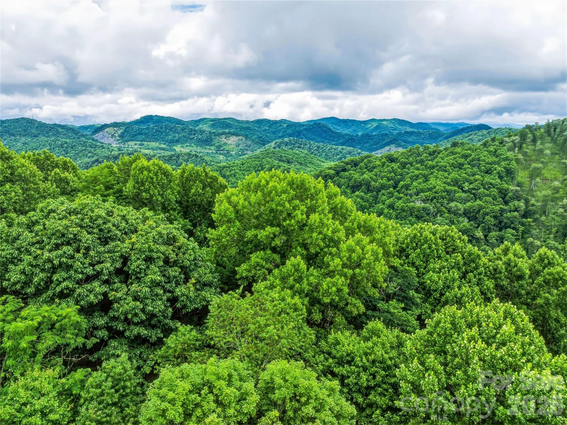 961 Wilson Branch Road - Photo 15