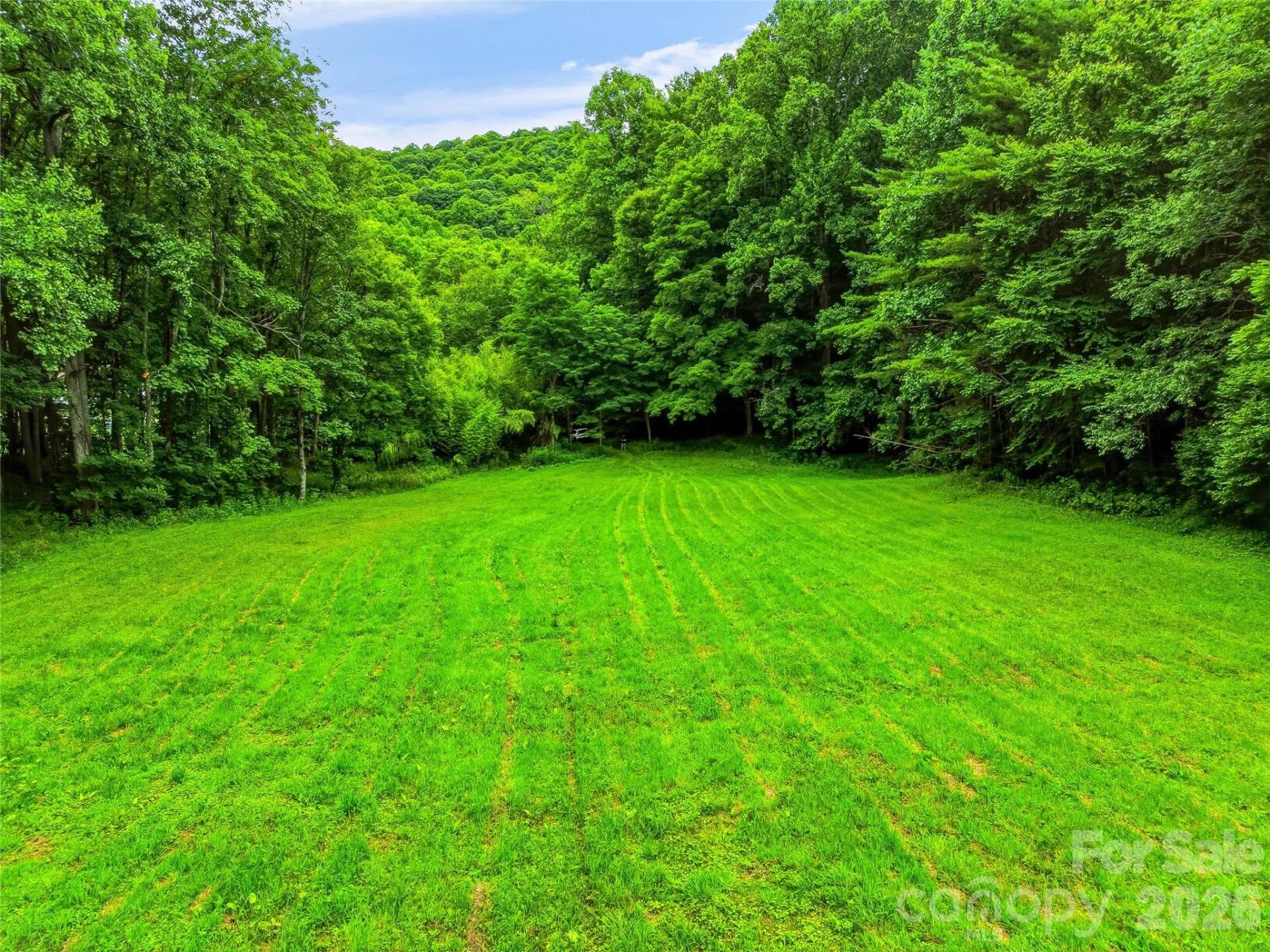 961 Wilson Branch Road - Photo 12