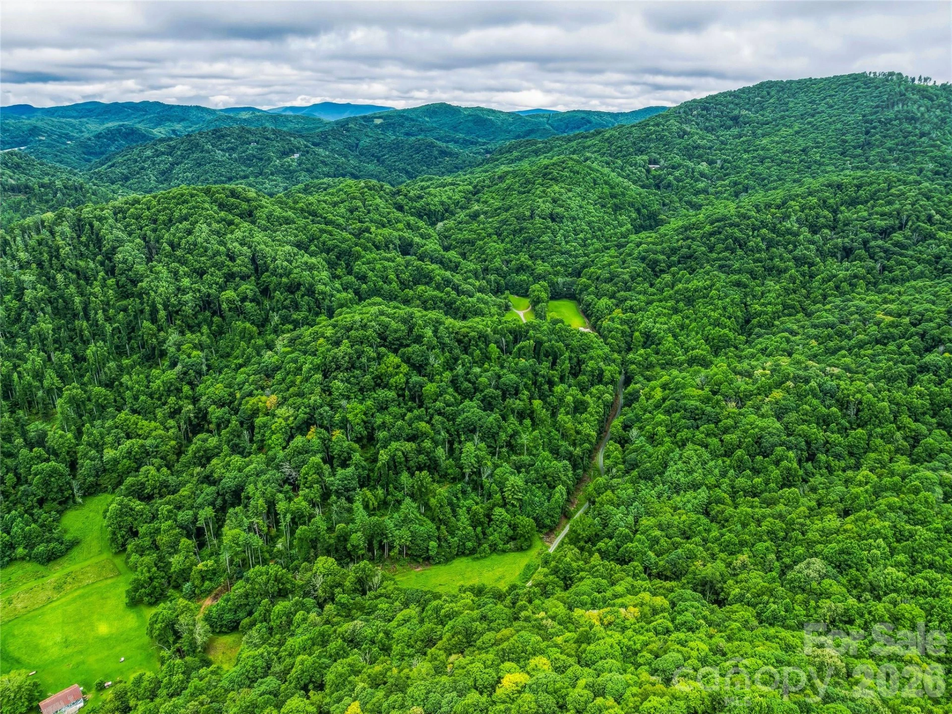 961 Wilson Branch Road - Photo 13