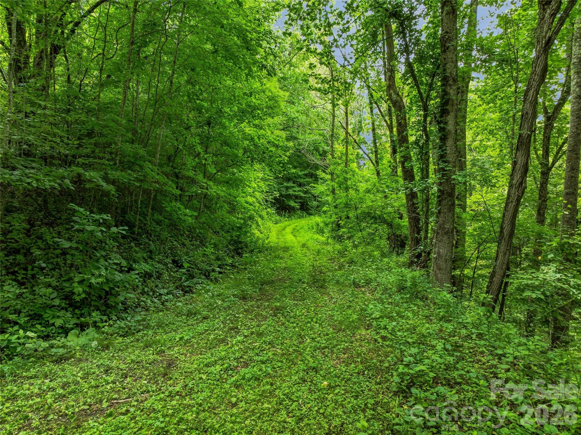 961 Wilson Branch Road - Photo 15