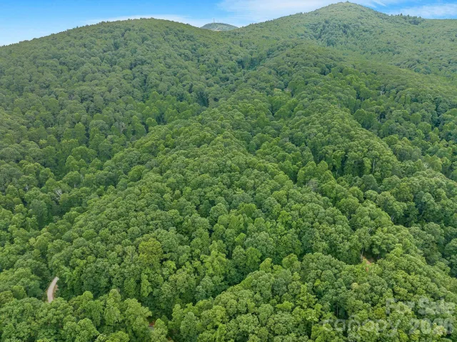 8 Carls Cove Road, Black Mountain, NC, 28711