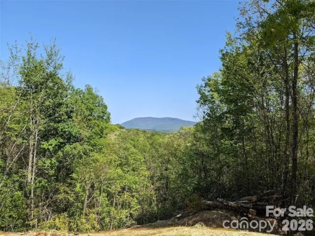 171 Nuthatch Lane, Black Mountain, NC, 28711
