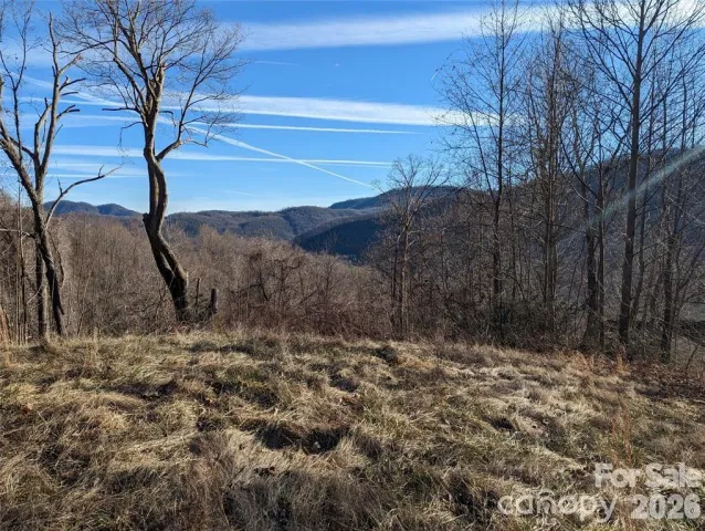 117 Ironwood Lane, Black Mountain, NC, 28711