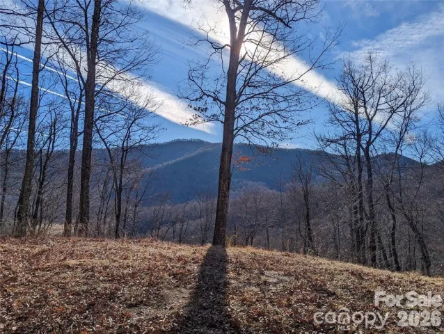 367 Kestrel Lane, Black Mountain, NC, 28711