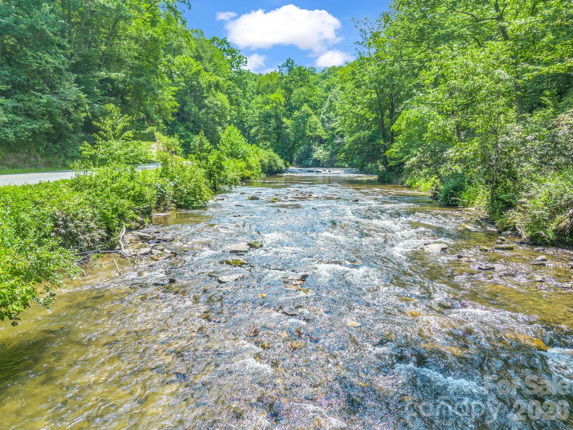 9390 East Fork Road - Photo 9