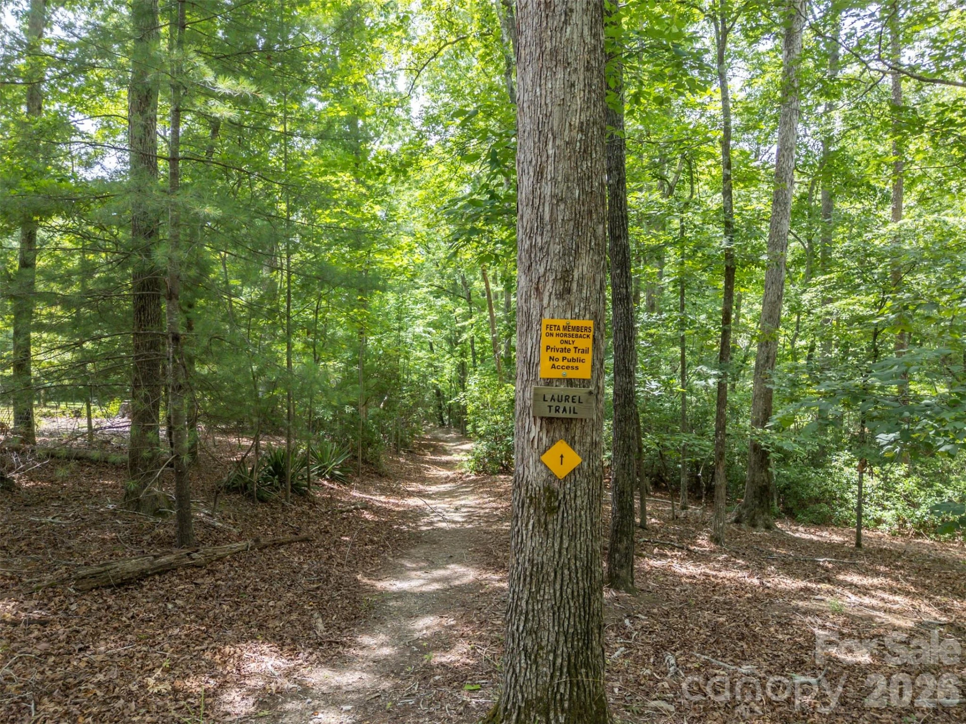 441 Lower Ridgeview Road - Photo 4
