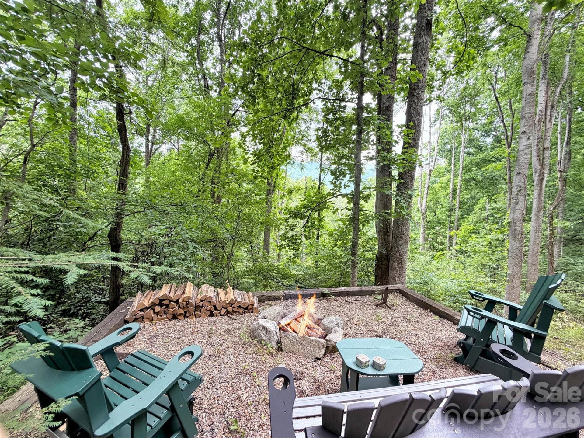 245 Greenview Drive - Photo 37