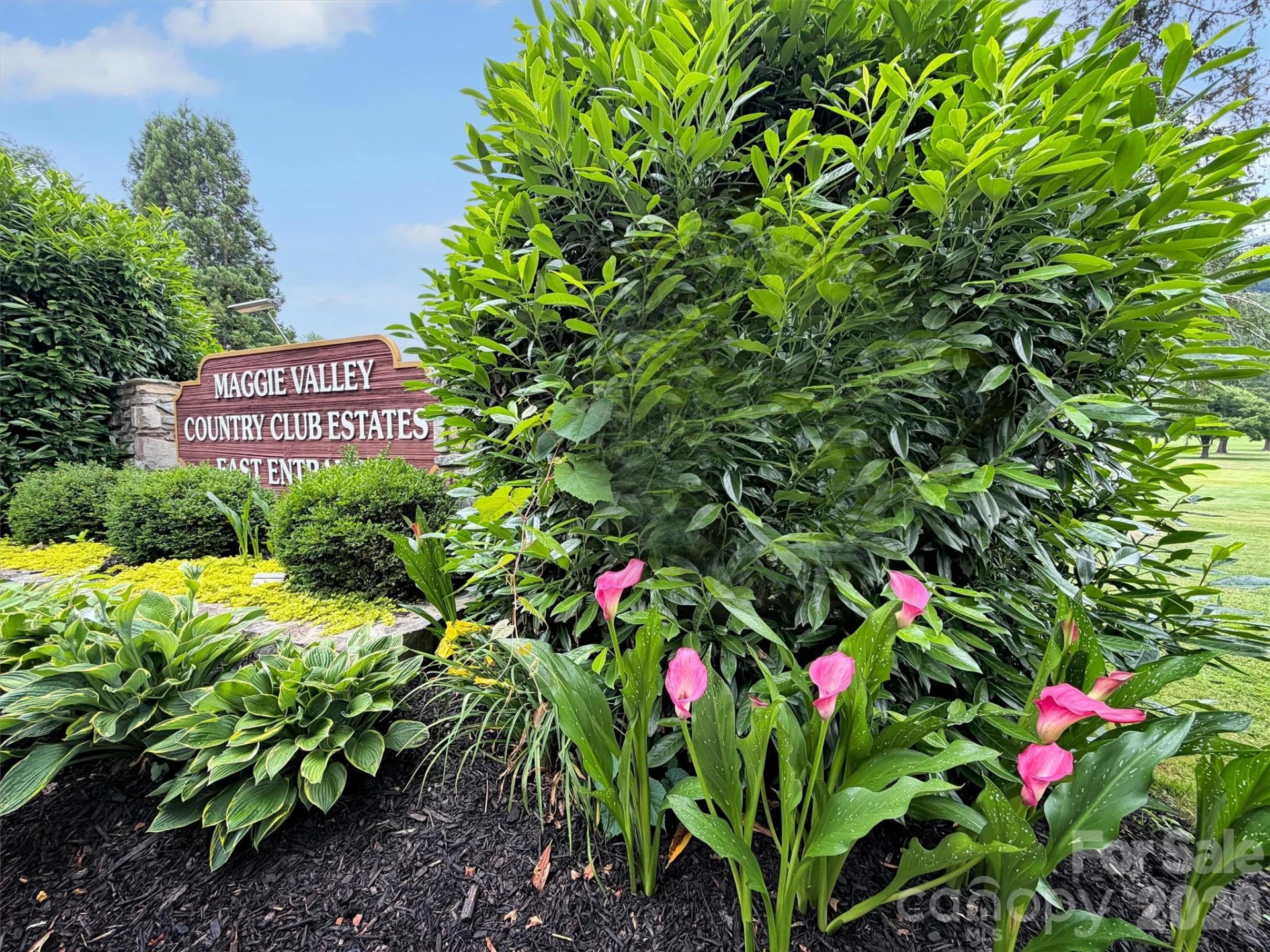 245 Greenview Drive - Photo 40