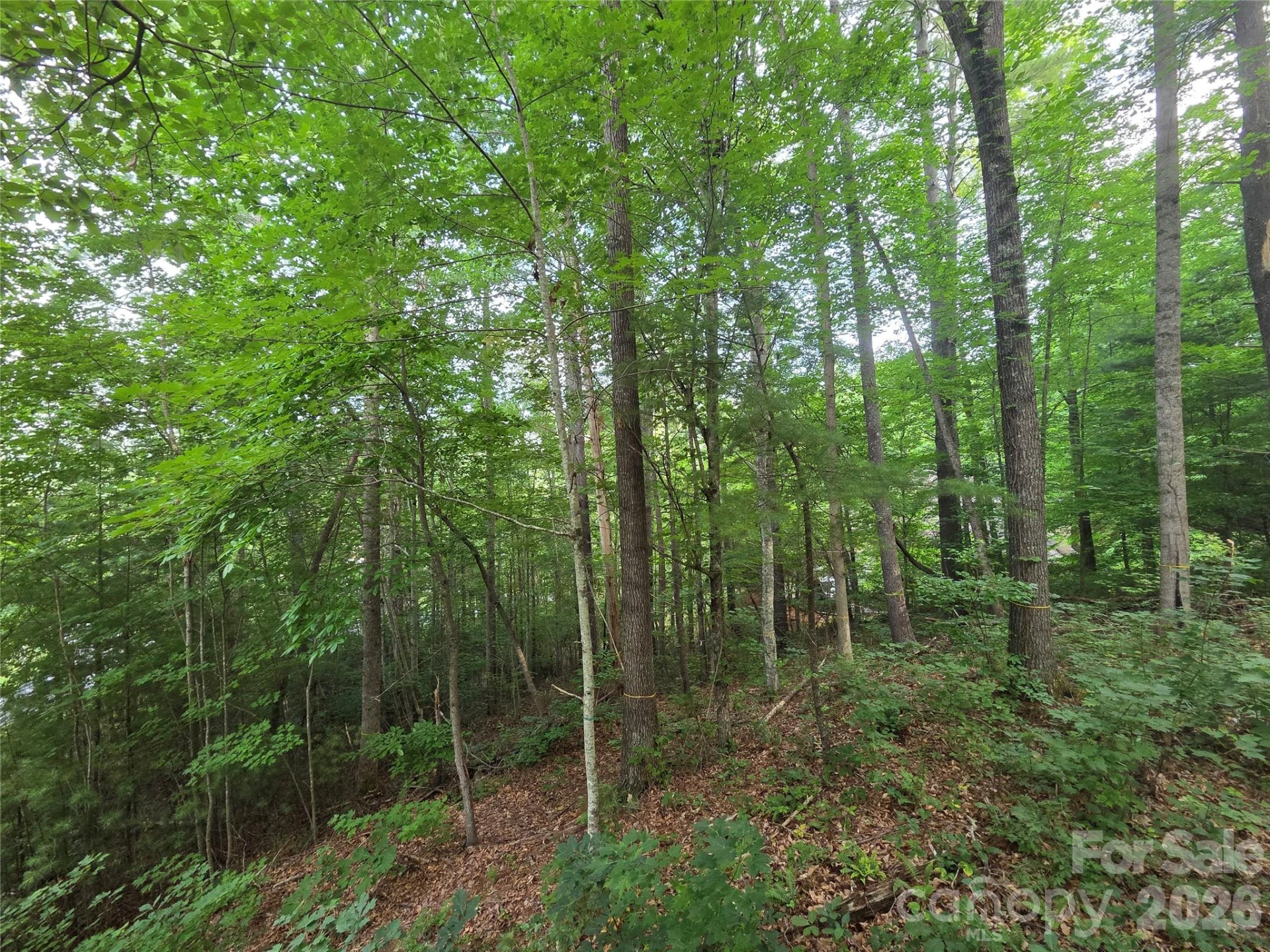 16 Courseview Drive - Photo 4
