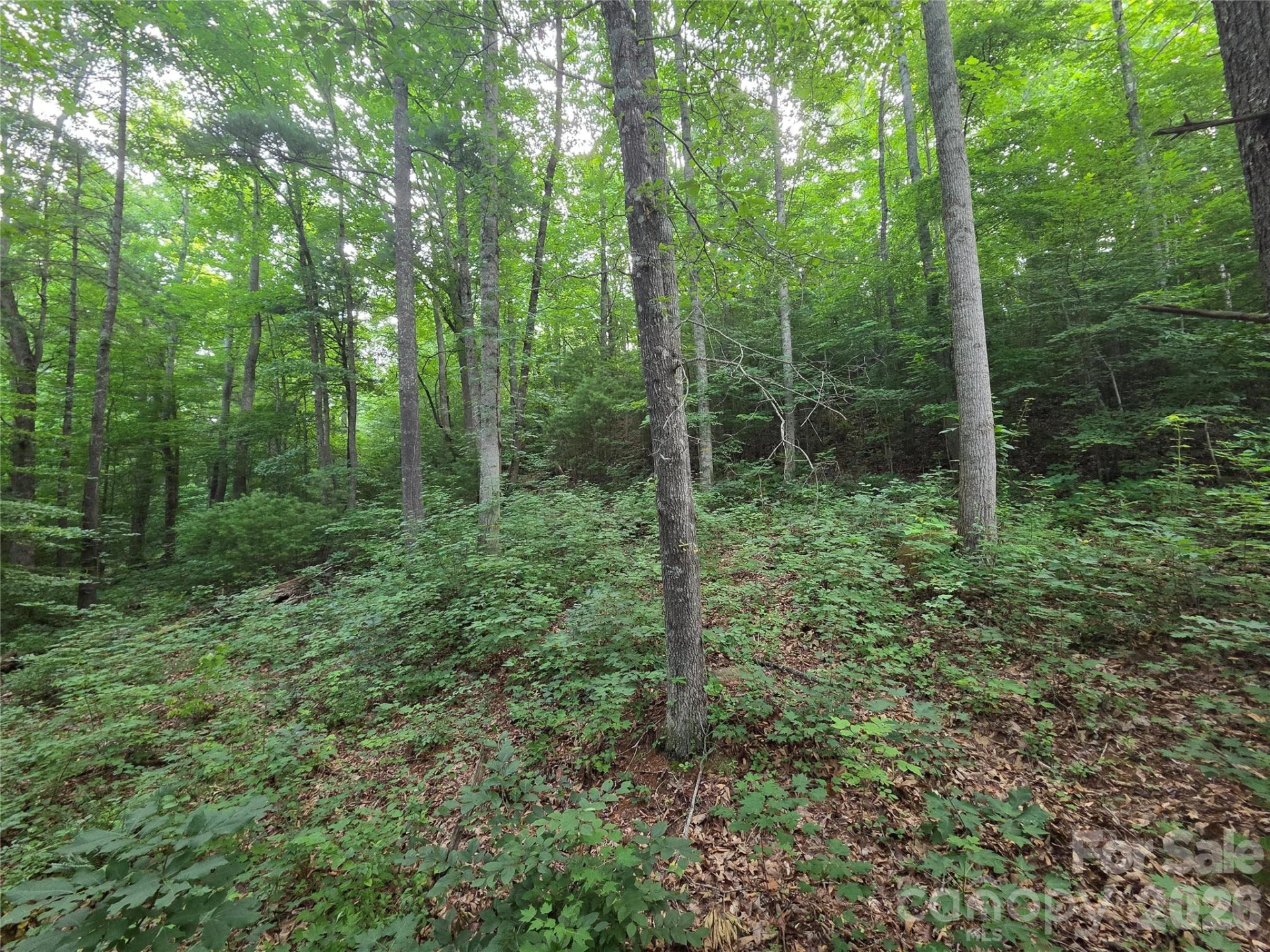 16 Courseview Drive - Photo 5