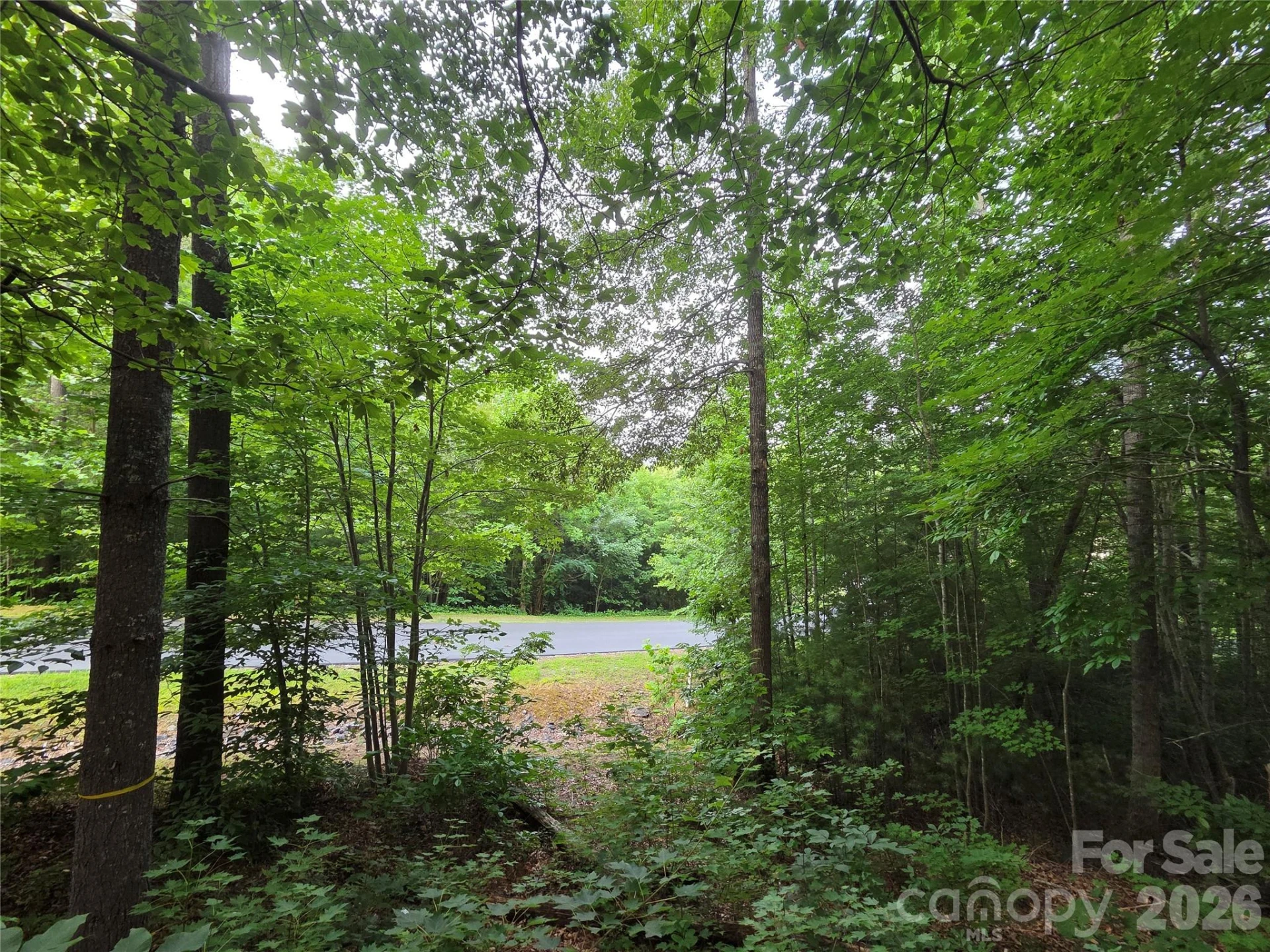 16 Courseview Drive - Photo 7
