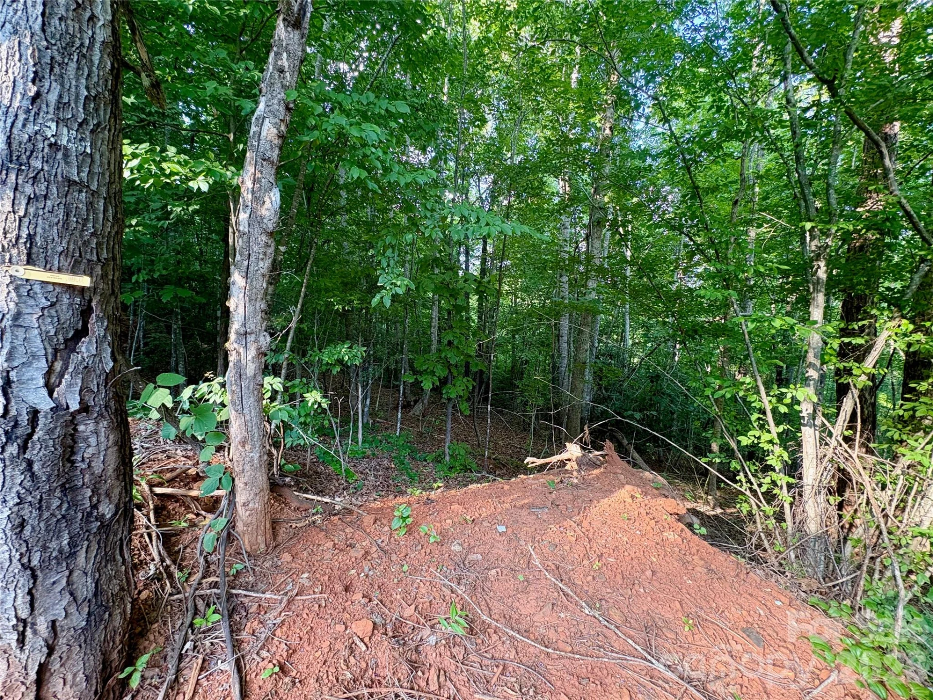 289 Champange Ridge - Photo 2