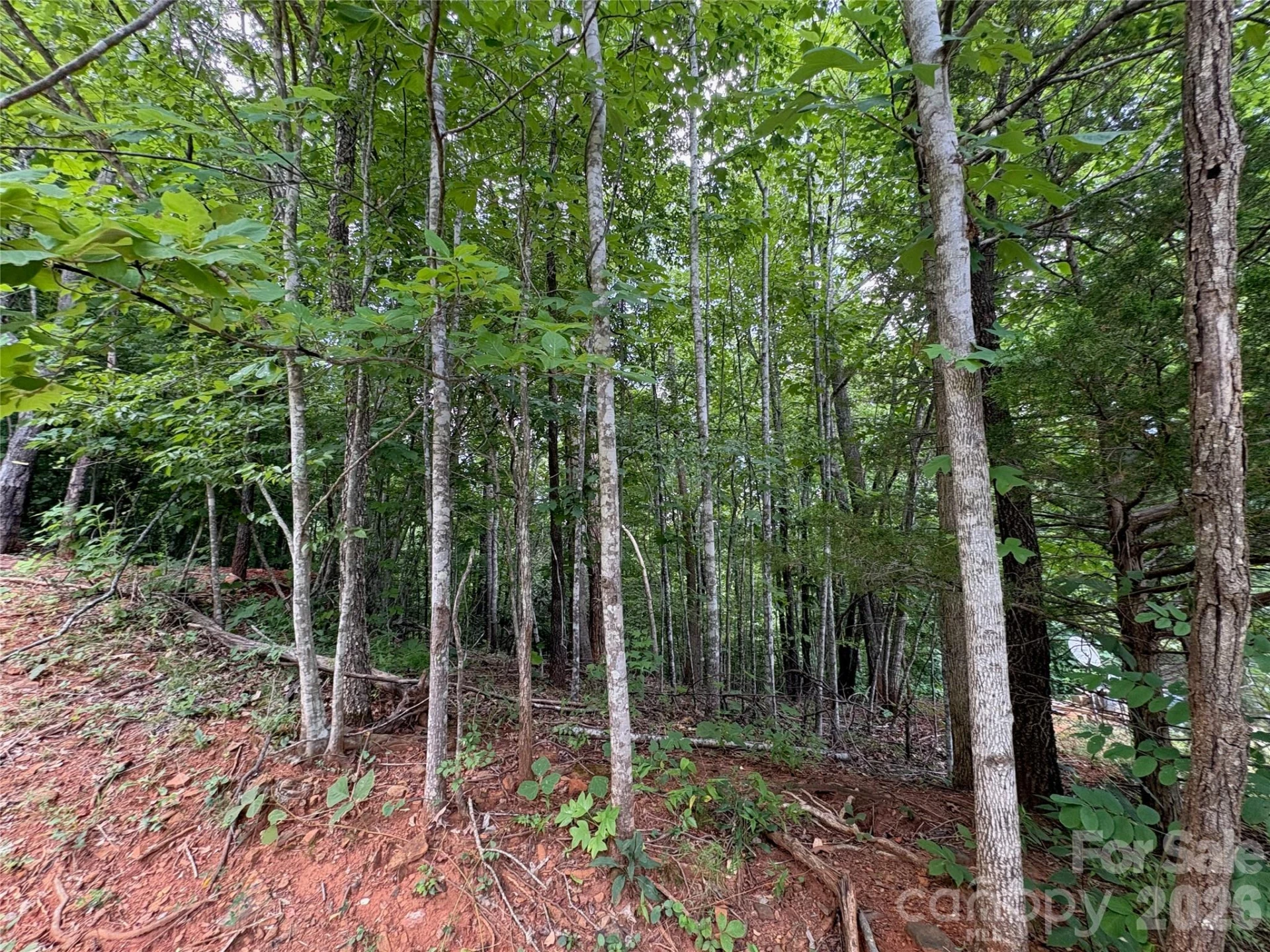 289 Champange Ridge - Photo 4