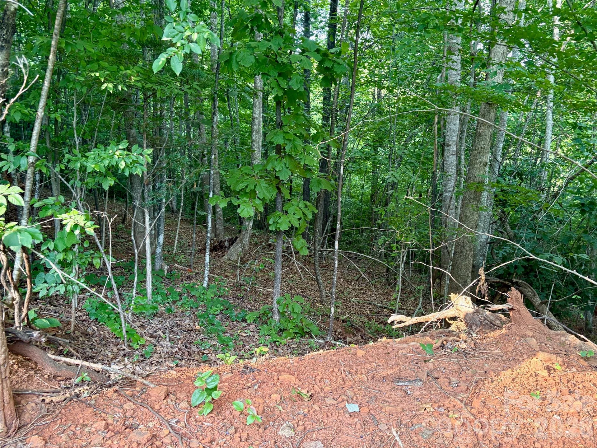 289 Champange Ridge - Photo 6